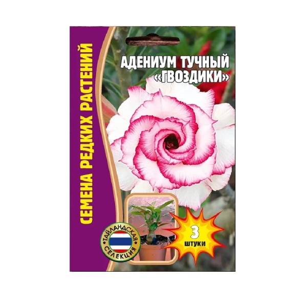 Адениум Гвоздики тучный  3шт_5