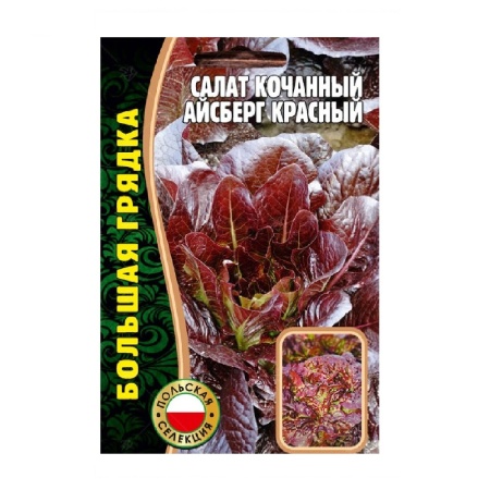 Салат Айсберг Красный кочанный  1000 шт_10