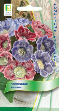 Глоксиния Жаклин  5шт_10