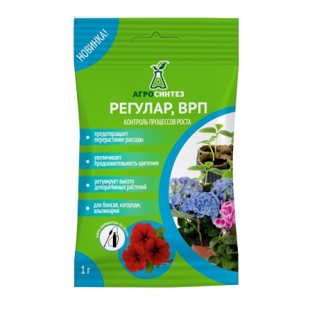 Регулар 1 гр  _100