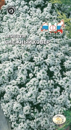 Алиссум морской Снежный ковер  0_1гр_10