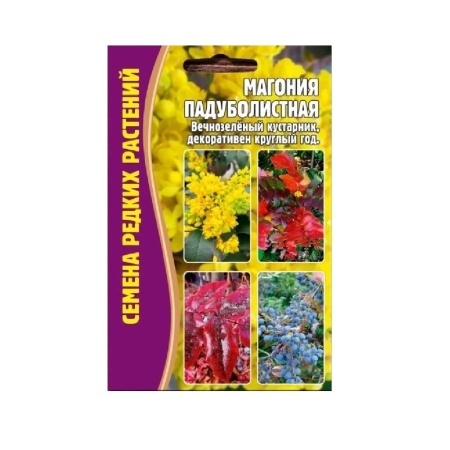 Магония Падуболистная 10шт_10
