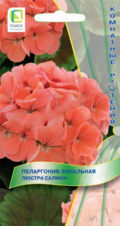 Пеларгония зональная Люстра Салмон  5шт_10