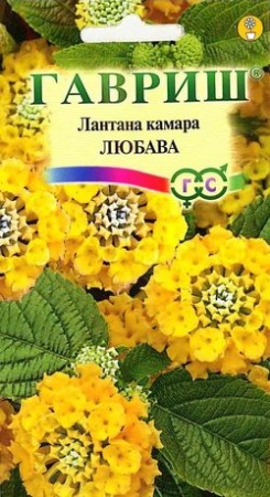 Лантана Камара Любава 0_1гр  _10