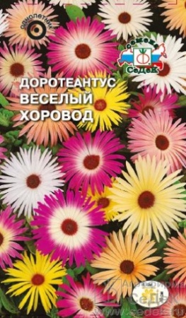 Доротеантус Весёлый Хоровод  0_2гр_10