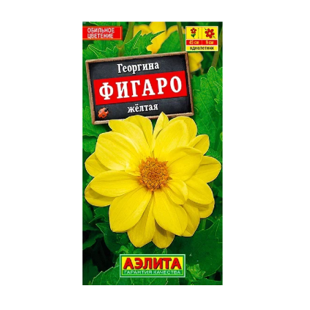 Георгина Фигаро желтый махровая  7шт_10