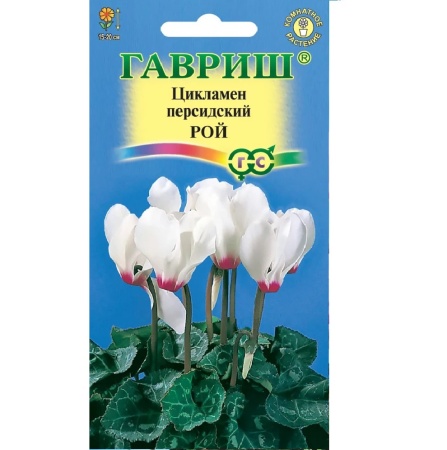 Цикламен Рой персидский 3шт  _10