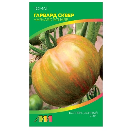 Томат Гарвард сквер 5шт_10