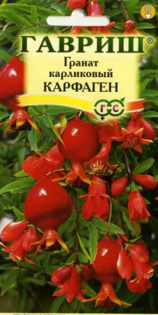 Гранат Карфаген карликовый  5шт_10