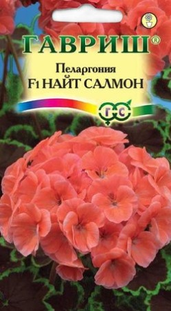 Пеларгония зональная Найт Салмон F1 4шт  _10