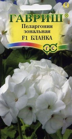 Пеларгония зональная Бланка F1 гранула  4шт  _10
