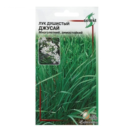 Лук душистый Джусай 40шт_10