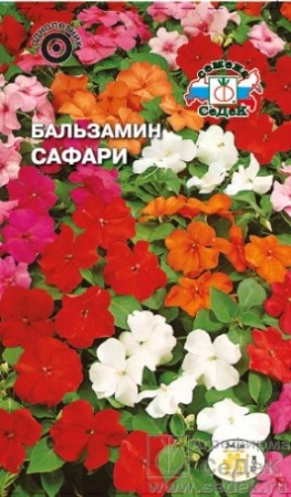 Бальзамин Сафари гибридный  0_05гр_10