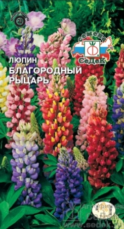Люпин Благородный Рыцарь  0_3гр_10