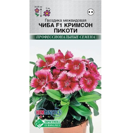 Гвоздика Чиба Кримсон Пикоти  5шт_10