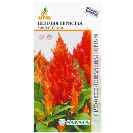 Целозия Кимоно Оранж  15шт_10