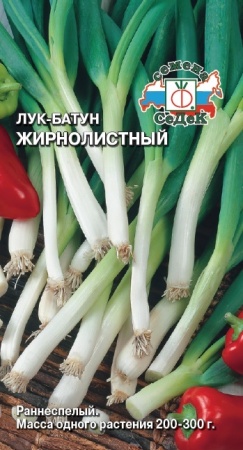 Лук батун Жирнолистный  1гр_10