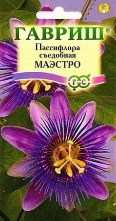 Пассифлора Маэстро съедобная 5шт _10