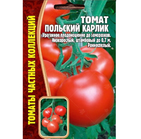 Томат Польский Карлик  10шт_10