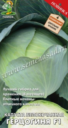 Капуста б_к Герцогиня F1  0_2гр_10