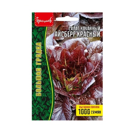Салат Айсберг Красный кочанный  1000 шт_10