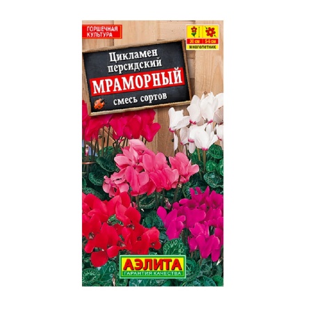 Цикламен Мраморный смесь 3шт _10