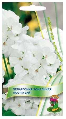 Пеларгония зональная Люстра Вайт  5шт_10