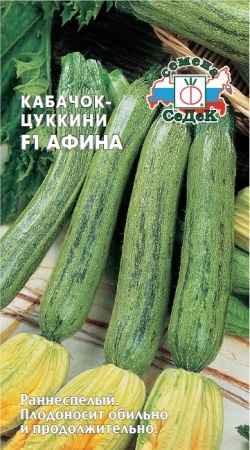 Кабачок Афина  1гр_10