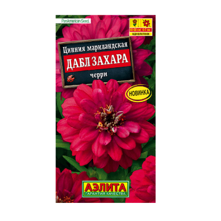 Цинния Дабл захара Черри  5шт_10