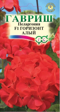 Пеларгония Горизонт алый F1 зональная  4шт_10