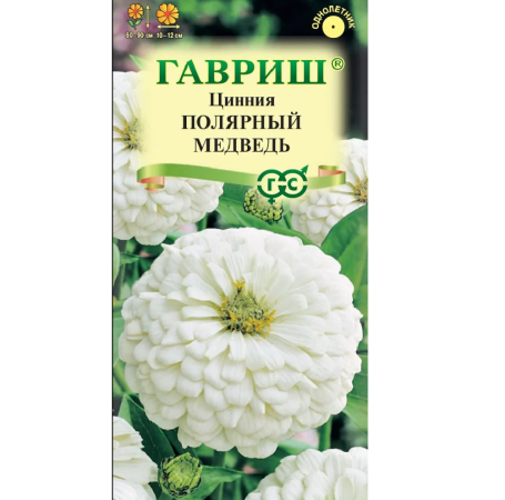 Цинния Полярный медведь  0_3гр_10