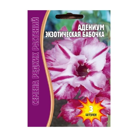 Адениум Экзотическая Бабочка  3шт_10