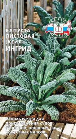 Капуста листовая Ингрид  0_3гр_10