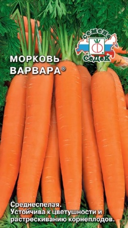 Морковь Варвара  2гр_10