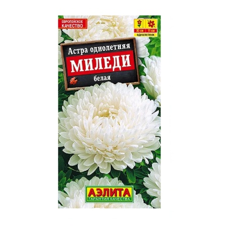 Астра Миледи белая  0_2гр_10