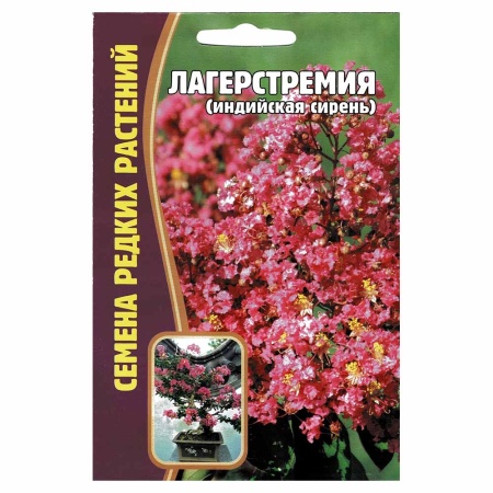 Лагерстремия (индийская сирень)  10шт_10