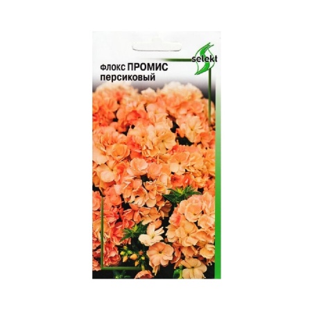 Флокс Промис персиковый  9шт_10